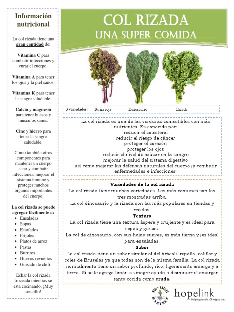 Kale Spanish Final PDF Alimentos Cocinando