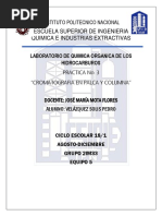 Practica 3 - Cromatografia p y c