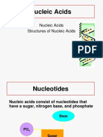 Nucleic Acids NS2