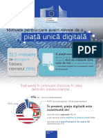 Dsm-Factsheet Ro PDF