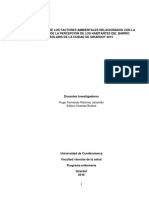 Descripción de Los Factores Ambientales Relacionados Con La Salud Desde La Percepción de Los Habitantes Del Barrio Solaris de La Cuidad de Girardot 2015