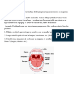 partes de la boca y nota al Apoderado.docx