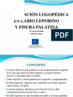 intervencion fisura labiopalatina.pdf