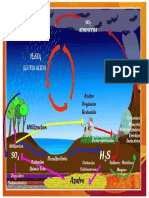 Esquema Ciclo Azufre