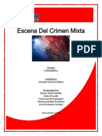 Escena Del Crimen Mixta Dario Paredes Informe (2)
