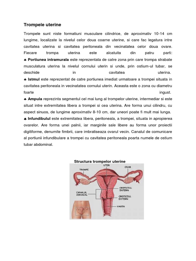 varicele trompelor uterine)