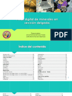 atlas_digital_de_minerales_en_seccion_delgada.pdf