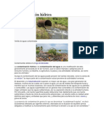 Contaminación hídrica.docx