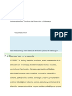 Autoevaluacion Técnicas de Dirección y Liderazgo Organizacional