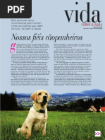 Reportagem Cães - Revista Regional