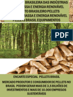 Associação Brasileira de Biomassa promove Pellets e Energia Renovável