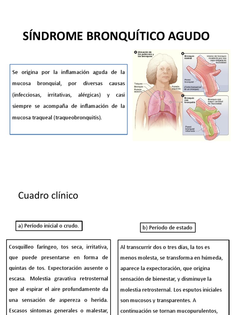 Síndrome Bronquítico PDF Tos Ciencias de la Salud