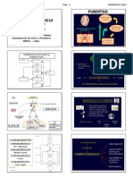 Gineco-1-USAMEDIC-2018-Completo-Alumno (2)