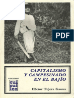 1982._Capitalismo_y_campesinado_en_el_Ba.pdf
