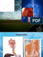 203790985-Hemorragia-Del-Tubo-Digestivo-Alto-y-Bajo.pptx