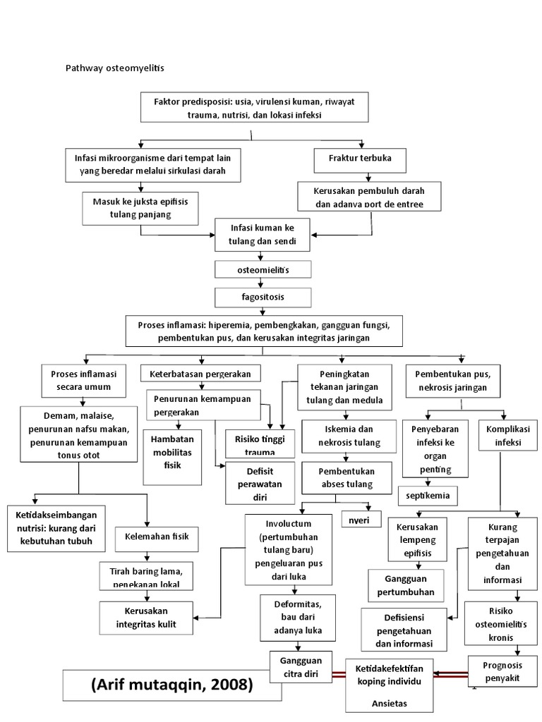 Pathway Osteomielitis Doc