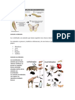Animales vertebrados.docx