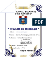 Proyecto de Tecnologia Brazo Excavador Hidraulico