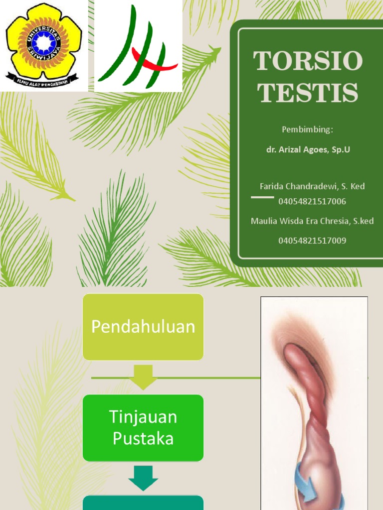 Torsio Testis: Diagnosis dan Tatalaksana | PDF