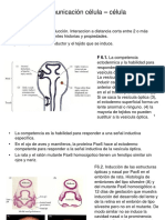 ComunicacionCelular.pdf