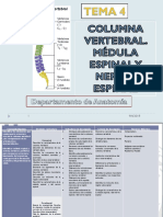 Tema 4 Columna Vertebral. Médula Espinal y Nervio Espinal