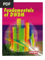 Dwdm Basics Ciena