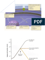 antibiotico1.ppt