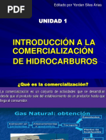 TEMA 1 IntroducciÃ N A La Comercializacion de Hidrocarburos