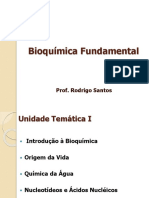 Aula 1 - Introdução e Origem Da Vida