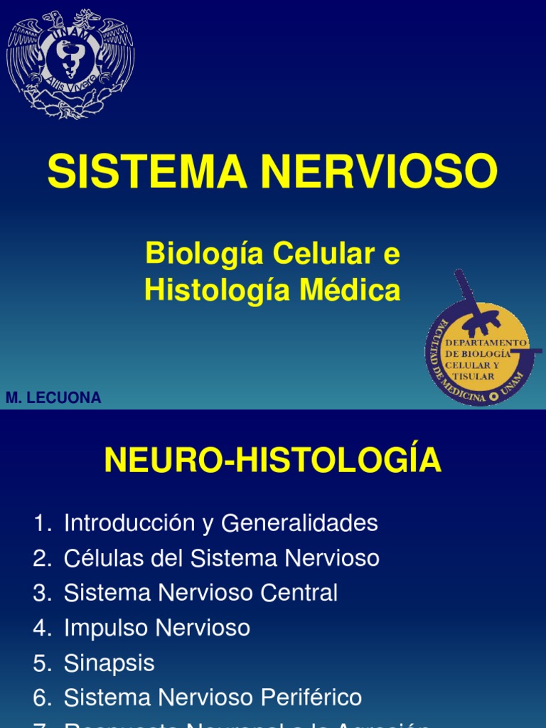 SNH PDF | PDF | Axon | Neurona