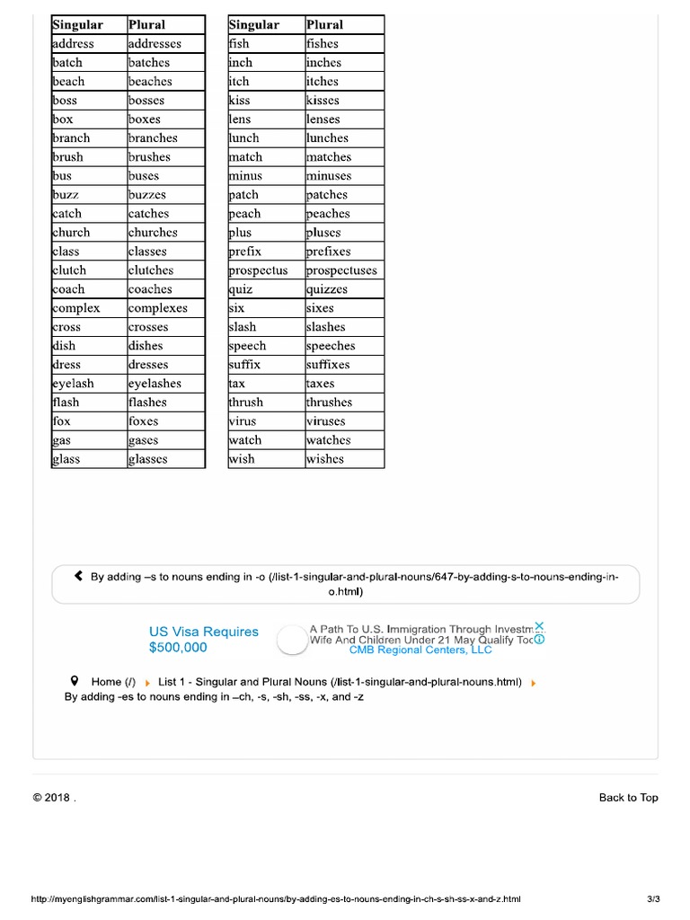 By Adding Es To Nouns Ending In Ch S Sh Ss X And Z Grammatical Conjugation Syntactic Relationships