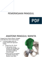 Pemeriksaan Panggul