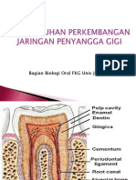 Jaringan Periodontal PDF