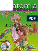 Anatomía Visual - Guía Básica