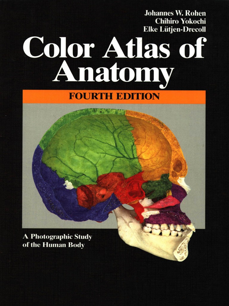 Color Atlas of Anatomy. Rohen, Yokochi
