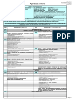 08.EjemploPlanAuditoríaExterna Enero2011