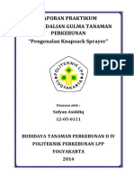 laporan-praktikum-pengendalian-gulma-tp-pengenalan-knapsack-sprayer.pdf