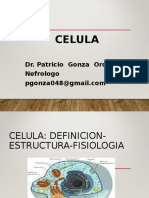 Celula 1