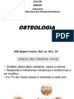 1 Osteologiaveterinriaufg 120927145657 Phpapp01