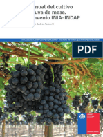 Cultivo de uva.pdf