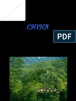 CHINESE_MOUNTAINS.pps