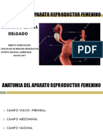 Clase 1 - Anatomia Del Aparato Reproductor Femenino 2016