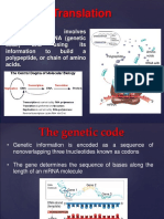 10.Translation & PROTEIN STRUCTURE.ppt