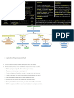 Mi Explicacion