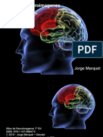 Atlas de Neuroimagenes Aplicado A Psiquiatria PDF