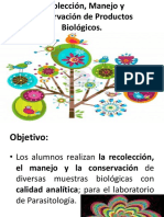 Recolección Manejo y Conservación de Productos Biológicos