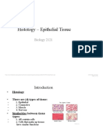 Histology - Epithelial Tissue: Biology 2121