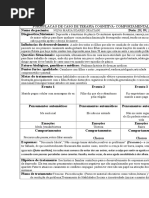 Formulacao de Caso de Terapia Cognitiva Nilva