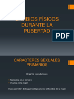 CAMBIOS FÍSICOS DURANTE LA PUBERTAD.pptx
