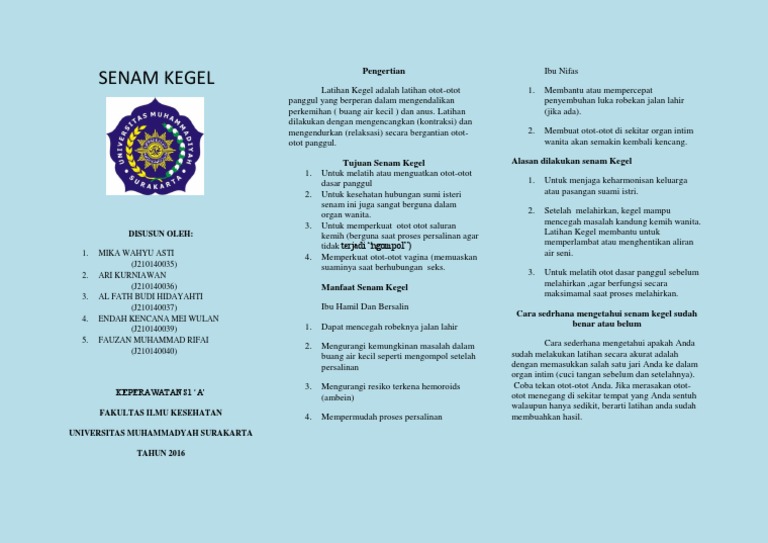 Leaflet Maternitas Pdf